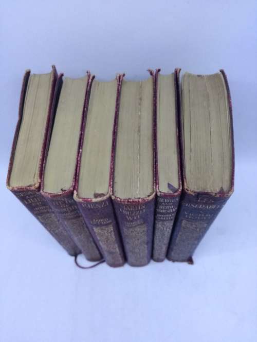 Leather bound books Author names written in gilt on front cover x 6