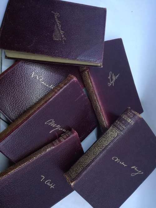 Leather bound books Author names written in gilt on front cover x 6