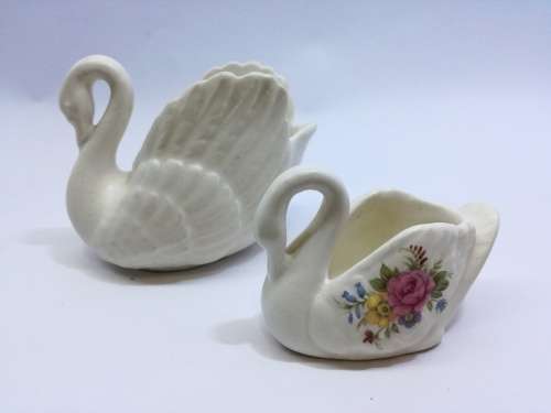 Swan pair