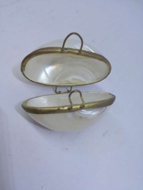 Small Shell Purse
