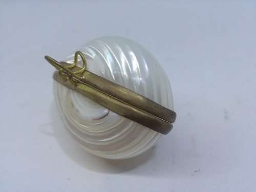 Small Shell Purse