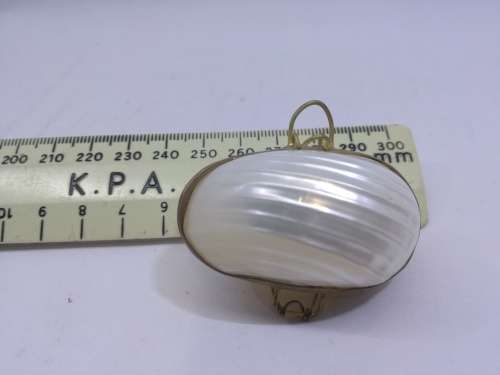 Small Shell Purse