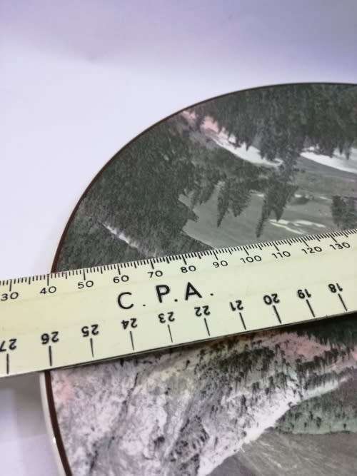 Royal Doulton African Bow Valley Banff National Park wall Plate 27 cm