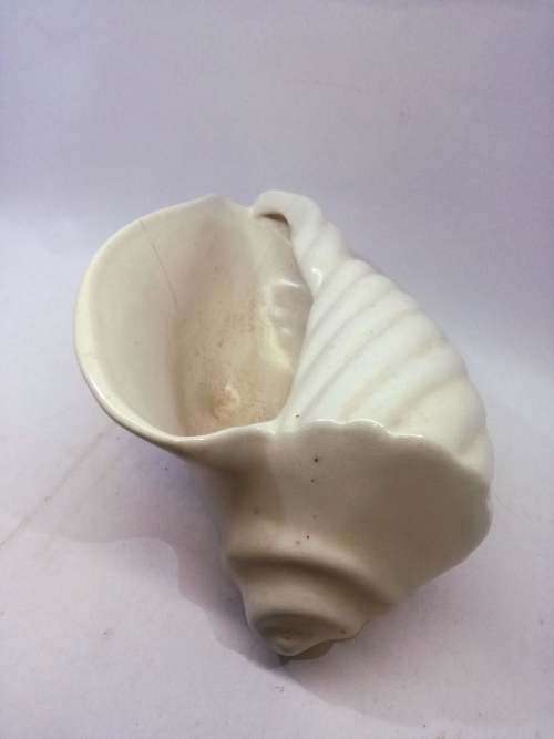 Vintage Drostdy ware Shell - two hairline cracks