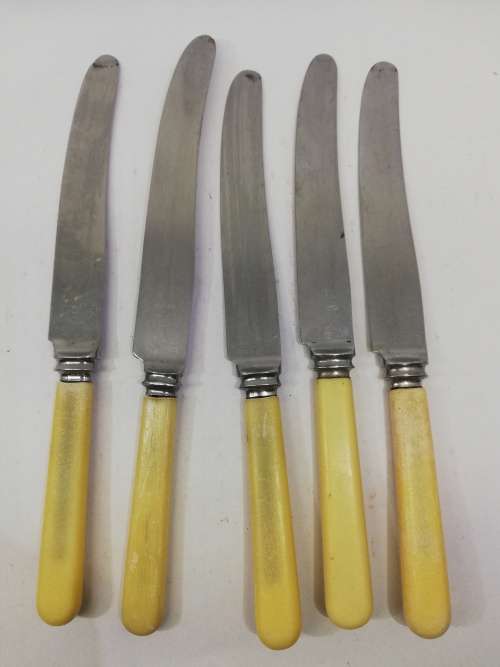 Vintage bone handle knife set