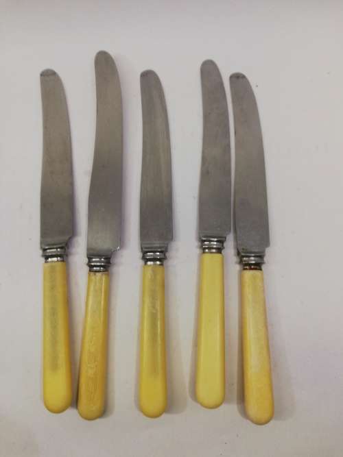 Vintage bone handle knife set