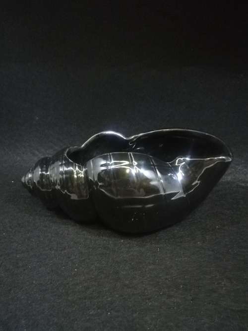 Lucia ware shell