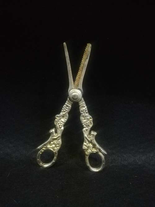 Ornate grape scissors