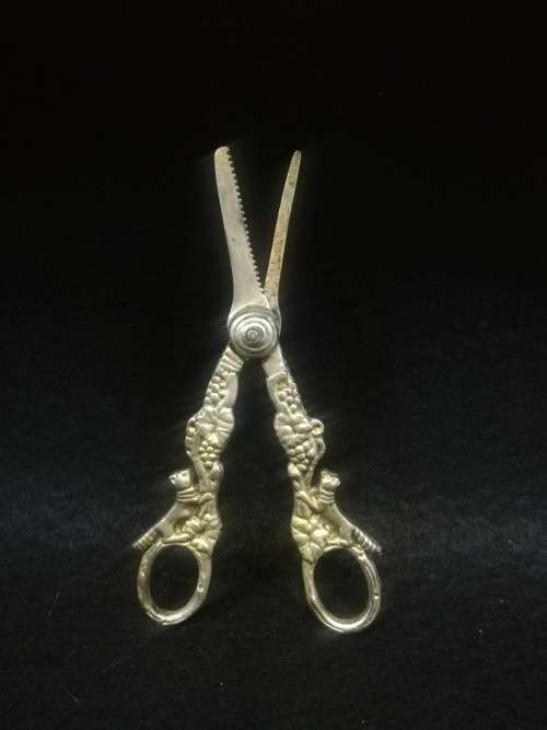 Ornate grape scissors
