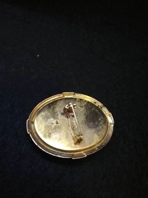 Faux cameo brooch