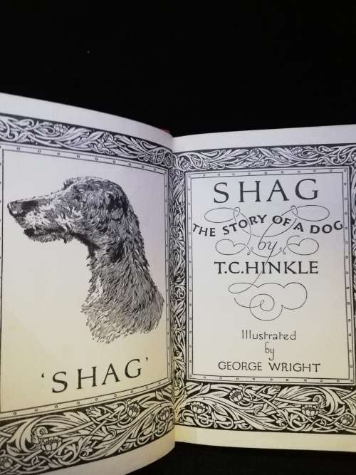 shag, T C Hinkle.  The Kings Treasuries Of Literature