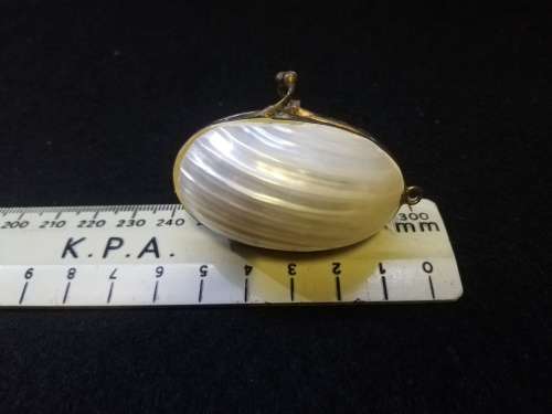 Vintage shell pendant/purse