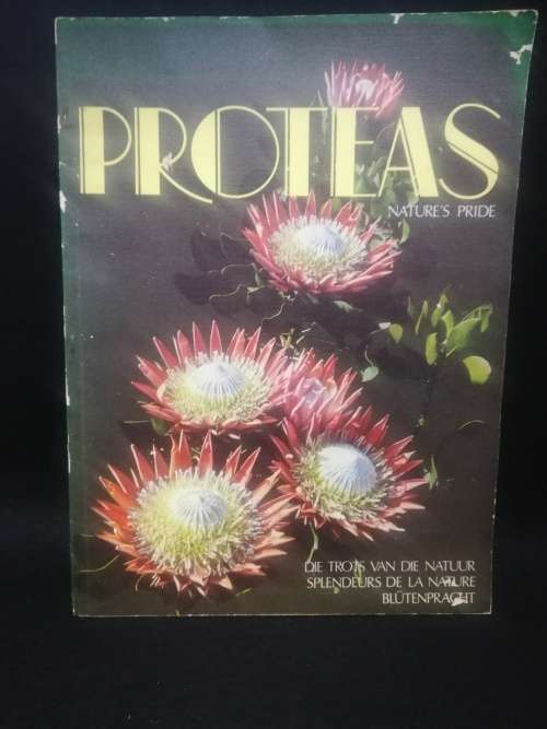 Proteas