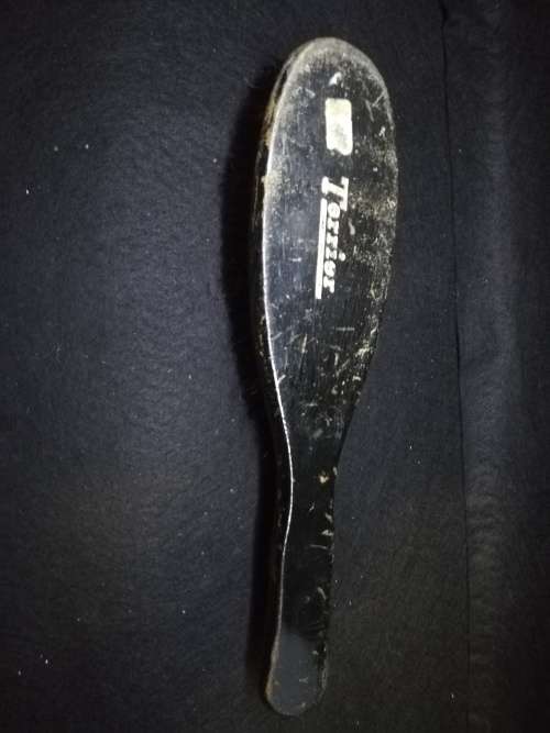 Terrier clothing brush