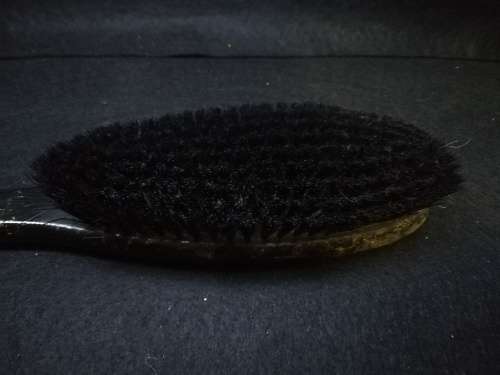 Terrier clothing brush