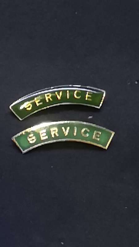 Lapel pin/badge