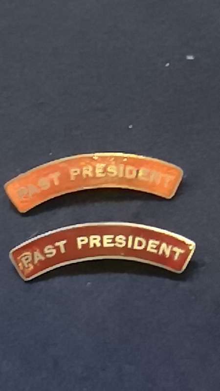 Lapel pin/badge