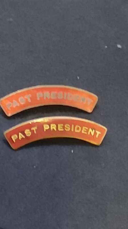 Lapel pin/badge
