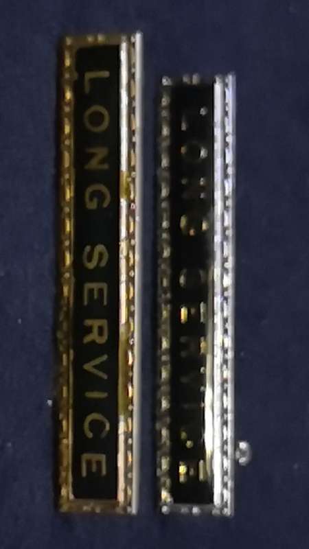 Lapel pin/badge
