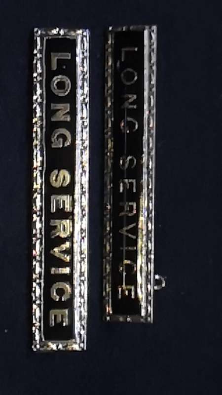Lapel pin/badge