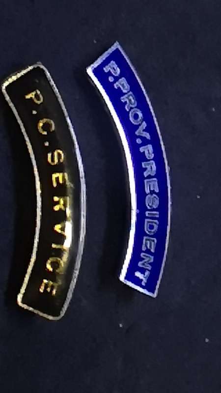 Lapel pin/badge