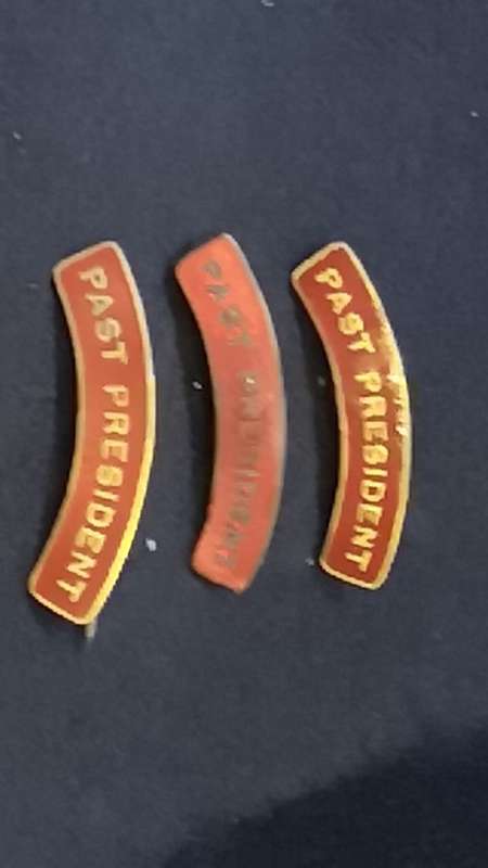 Lapel pin/badge