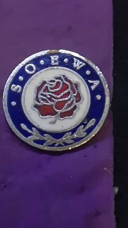 Lapel pin/badge