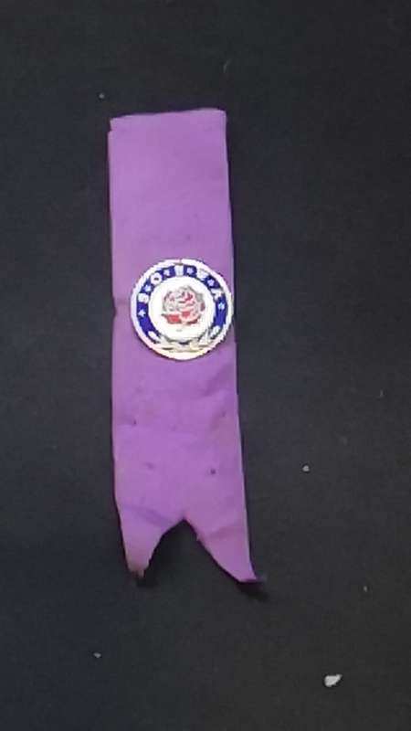 Lapel pin/badge
