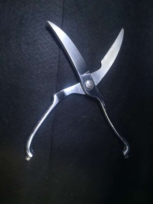 Chicken scissors
