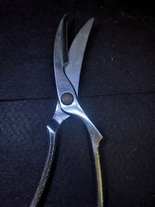 Chicken scissors