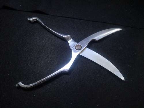 Chicken scissors