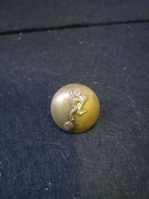 Brass button
