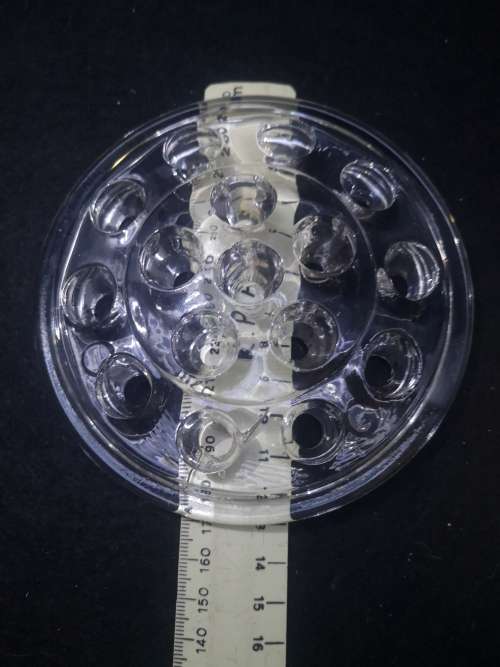 Glass Flower frogs