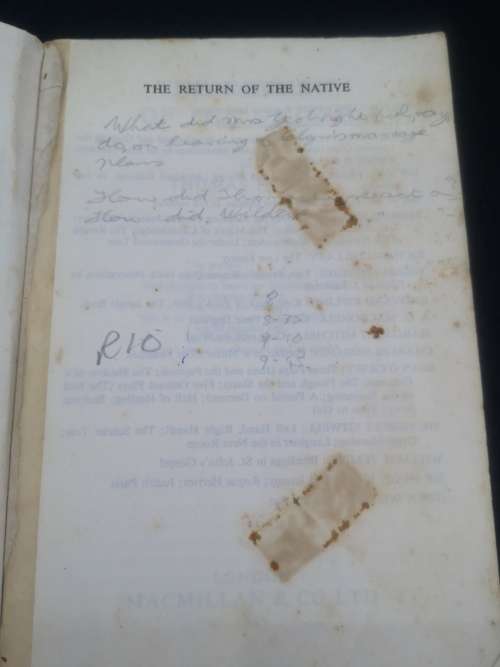 The Return of the Native Novel by Thomas Hardy