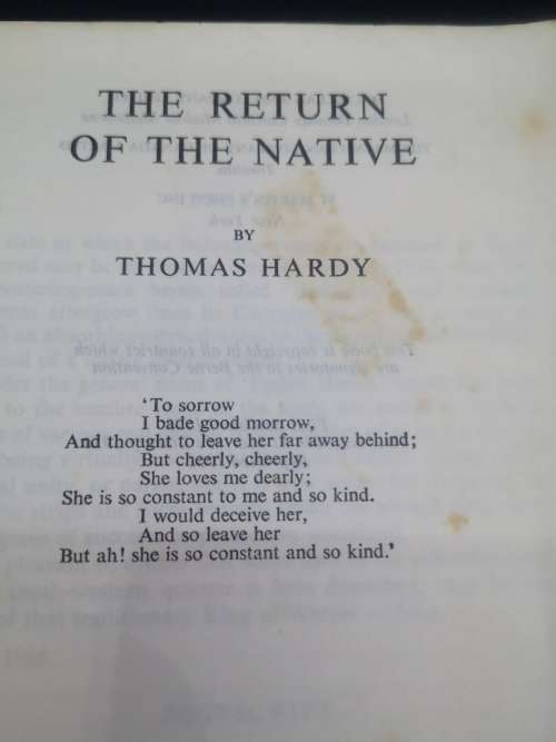 The Return of the Native Novel by Thomas Hardy