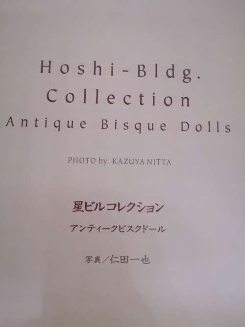 Hoshi - BLDG Collection Antique Bisque dolls - paperback