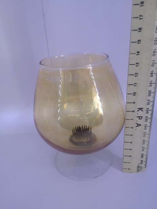 Balloon Glass vase