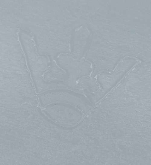 Snowflake on black divider dish