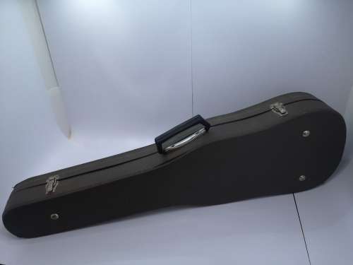 Violin carry case