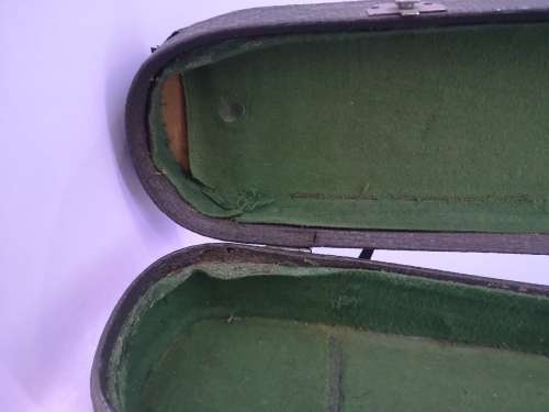 Violin carry case