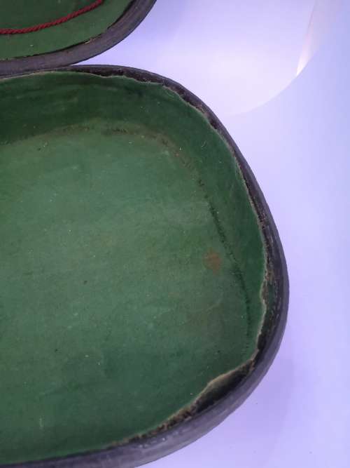 Violin carry case