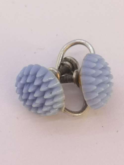 Pretty blue screw on earrings