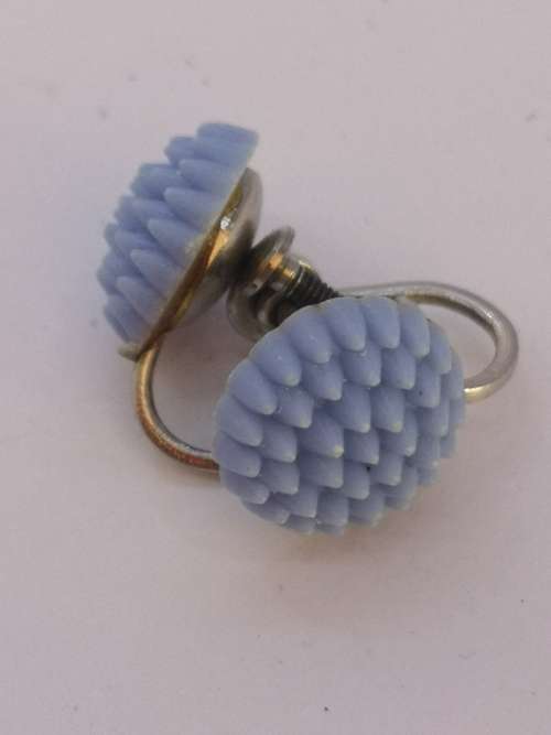 Pretty blue screw on earrings
