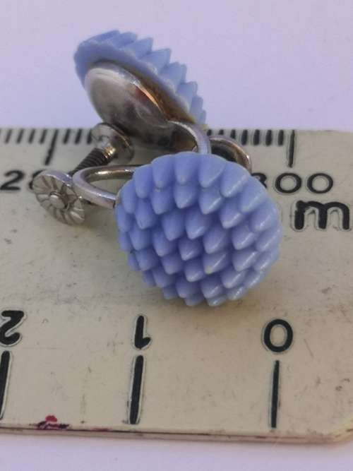 Pretty blue screw on earrings