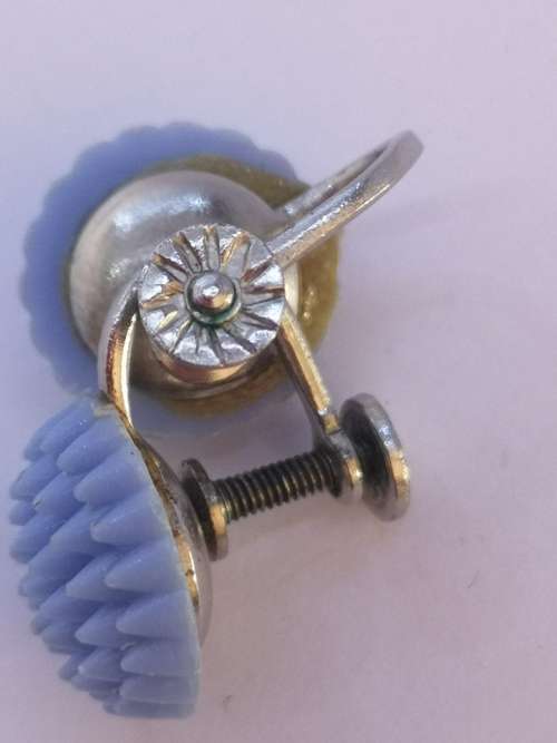 Pretty blue screw on earrings