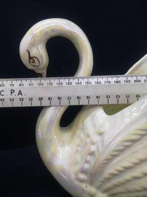 Gorgeous Swan! one chip as per pic