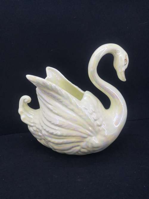 Gorgeous Swan! one chip as per pic