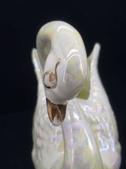 Gorgeous Swan! one chip as per pic