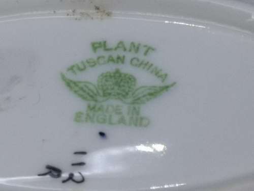 Plant Tuscan china - made in England plate