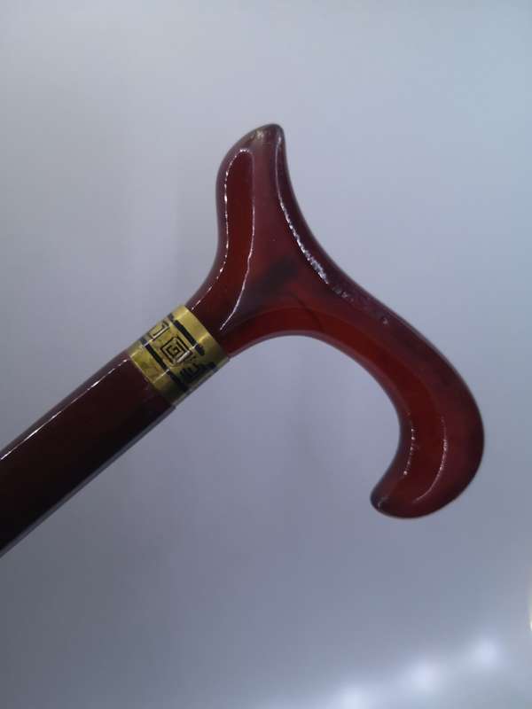 Stunning walking stick